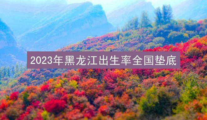 2023年黑龙江出生率全国垫底